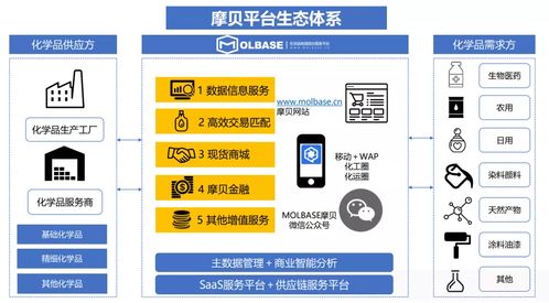 中國化工企業(yè)管理協(xié)會數(shù)字化專委會新春座談?wù)匍_，摩貝斬獲多項授牌引領(lǐng)行業(yè)數(shù)字化升級